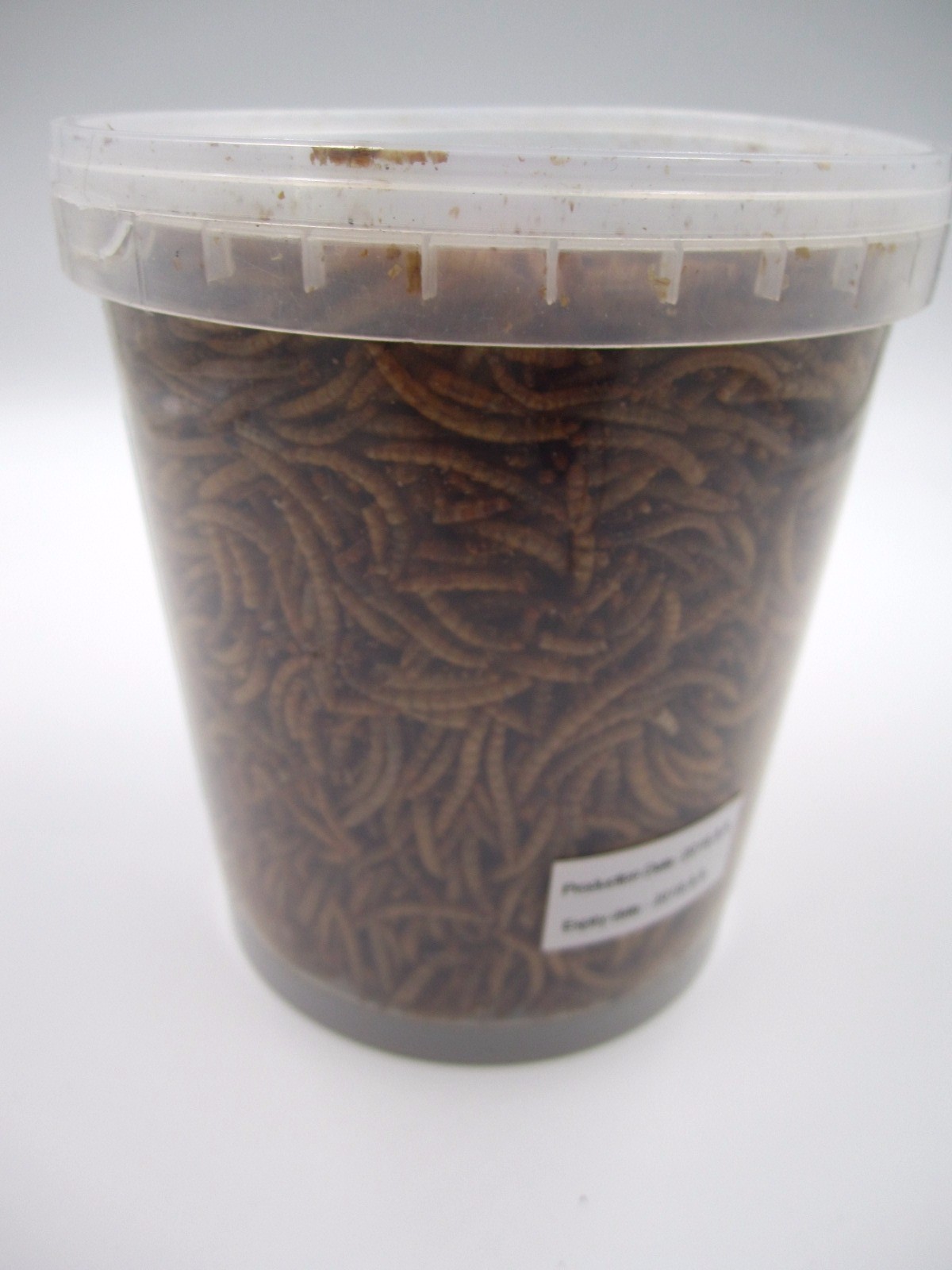 OEM Dreid Mealworms drum291661.jpg